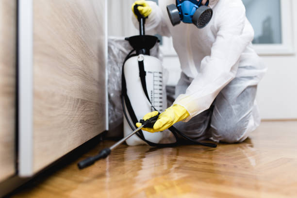Best Emergency Pest Control  in Scotchtown, NY
