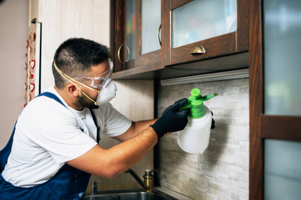 Best Best Pest Control Companies  in Scotchtown, NY