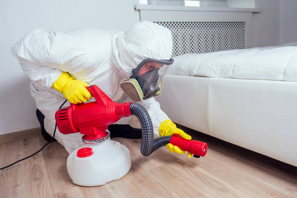 Best Termite Control Services  in Scotchtown, NY