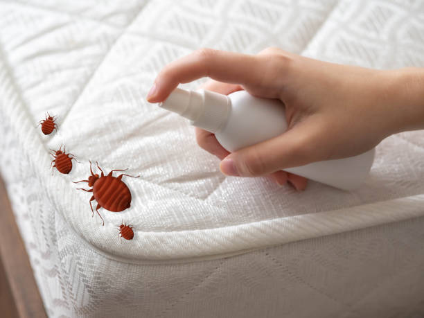 Best Pest Control Near Me  in Scotchtown, NY